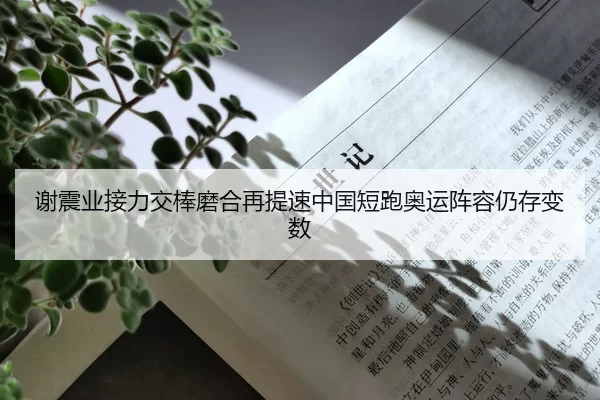 谢震业接力交棒磨合再提速中国短跑奥运阵容仍存变数