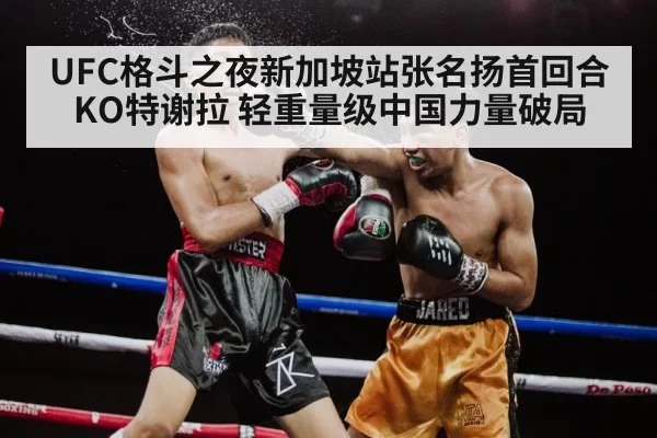 UFC格斗之夜新加坡站张名扬首回合KO特谢拉 轻重量级中国力量破局