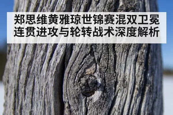 郑思维黄雅琼世锦赛混双卫冕连贯进攻与轮转战术深度解析