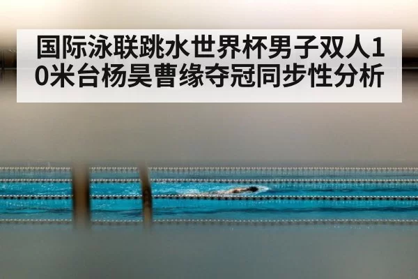 国际泳联跳水世界杯男子双人10米台杨昊曹缘夺冠同步性分析